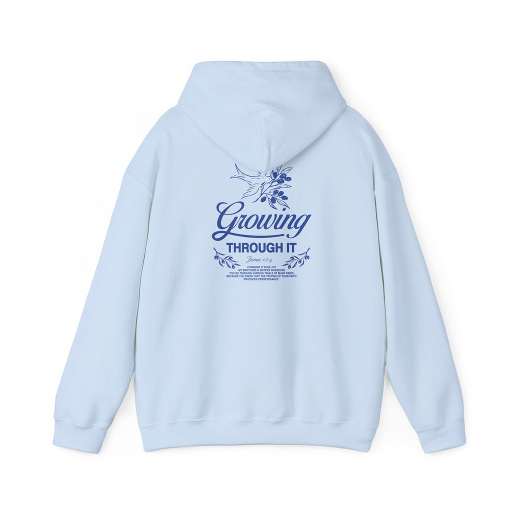 Growing Through It: DOVE Hoodie